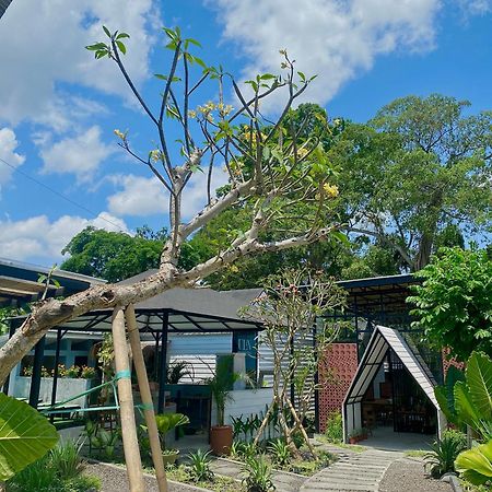 The Jungle Hostel Canggu Екстериор снимка