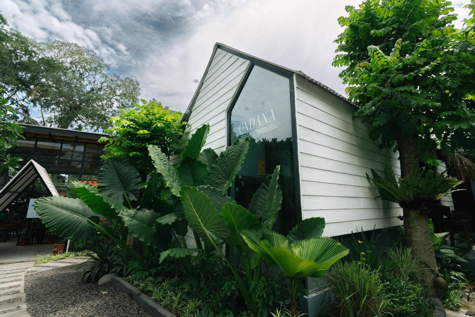 The Jungle Hostel Canggu Екстериор снимка