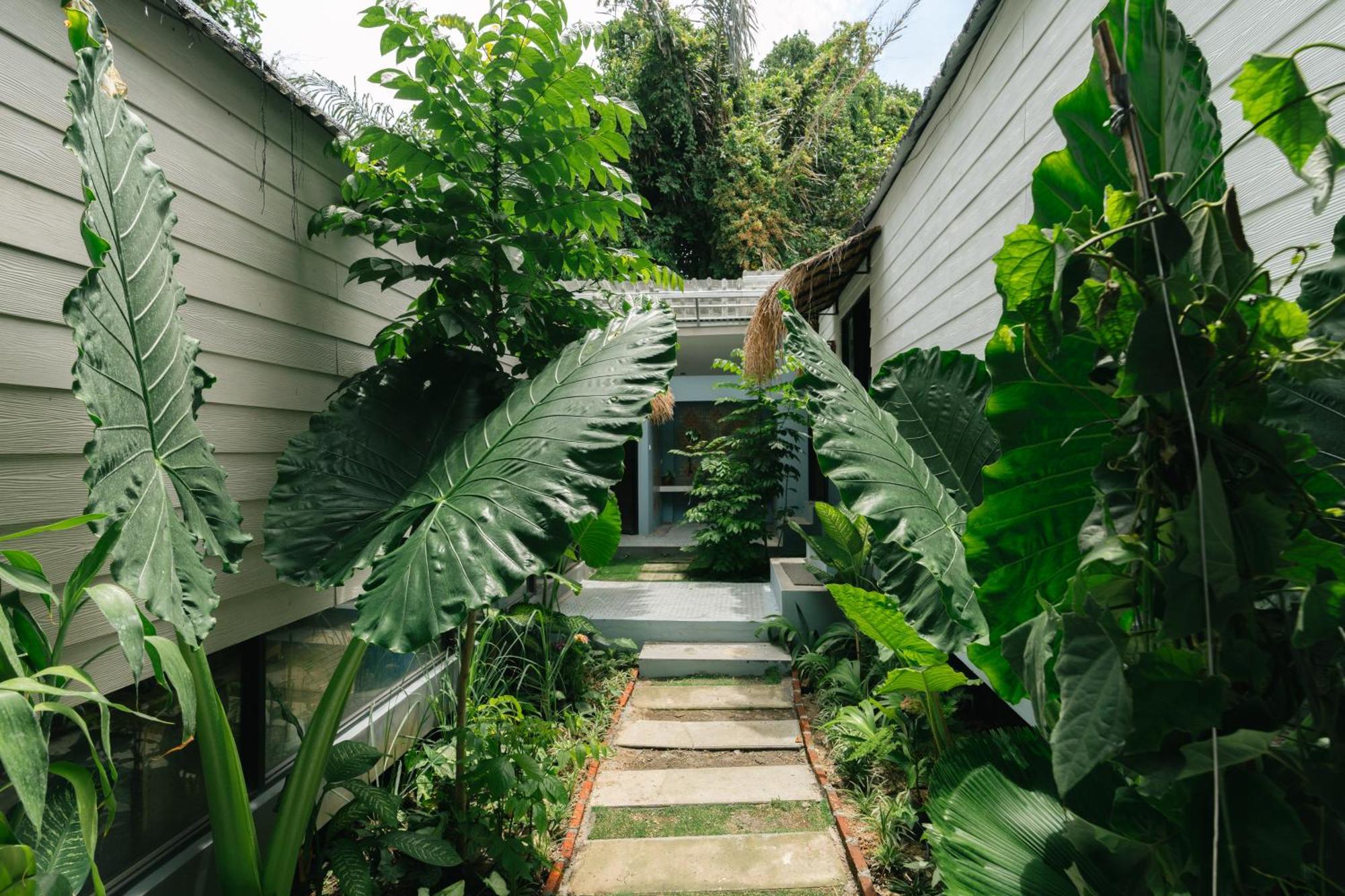The Jungle Hostel Canggu Екстериор снимка