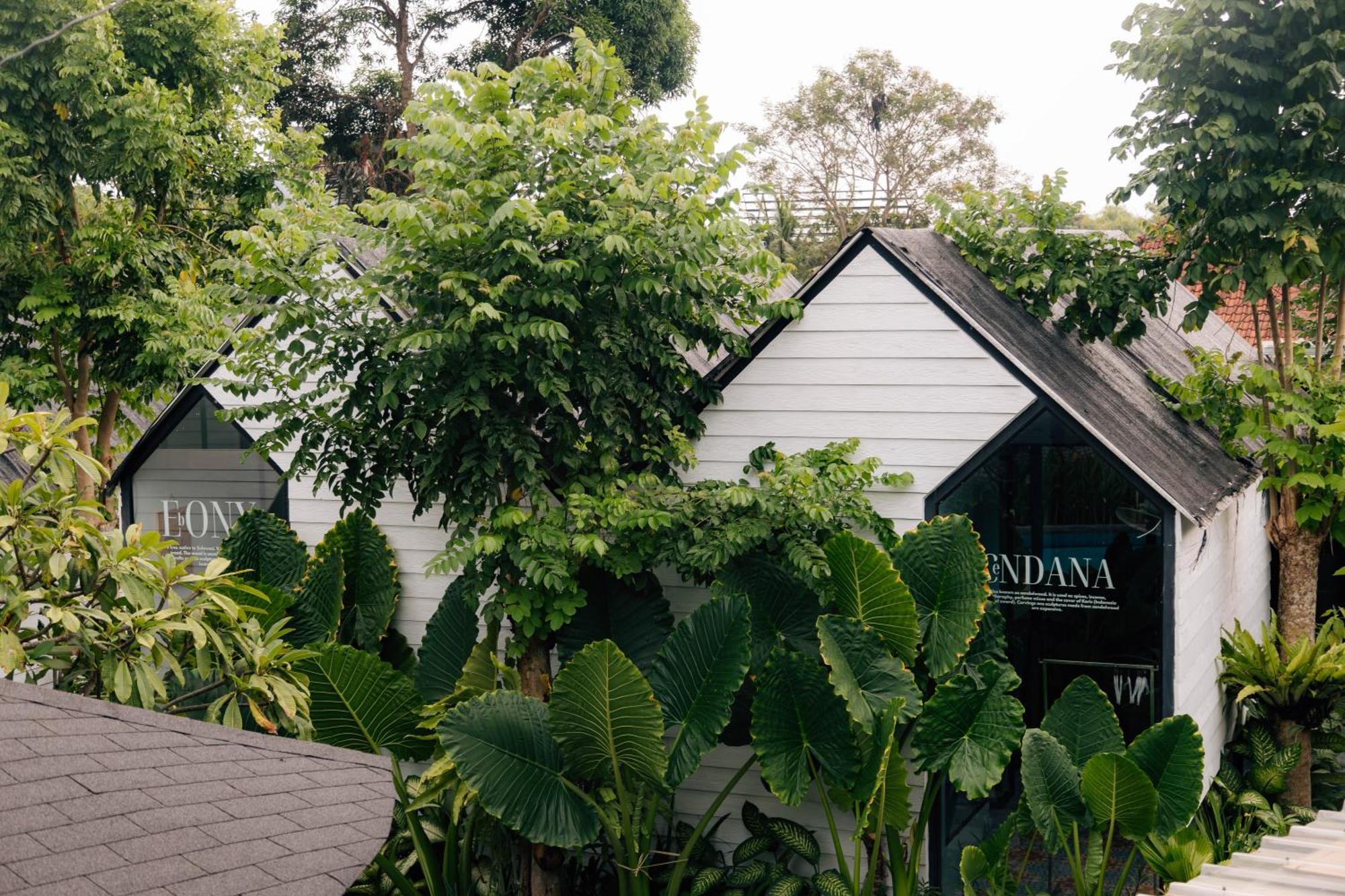 The Jungle Hostel Canggu Екстериор снимка